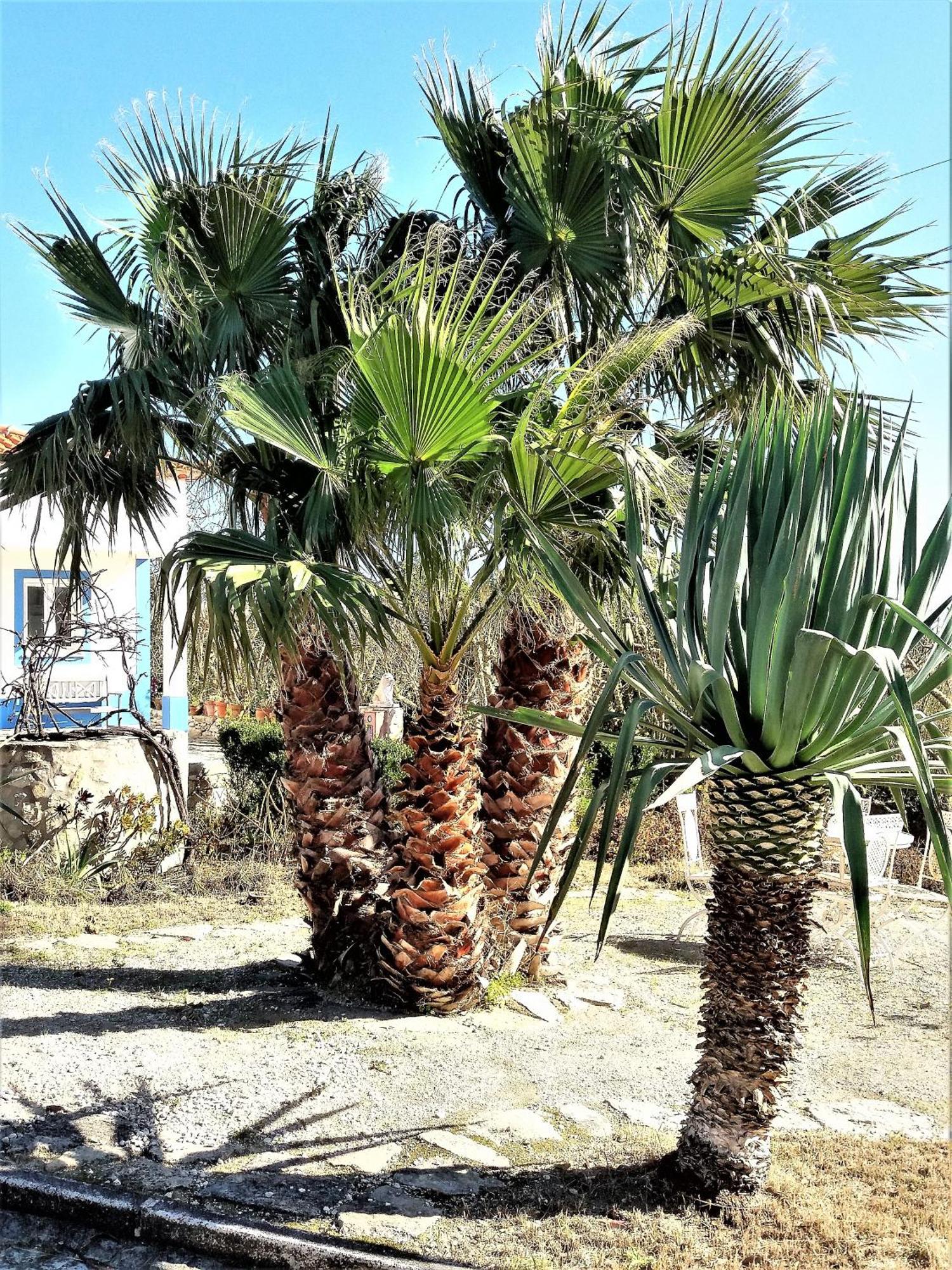 Agua Rocha Villa Serra de Mangues Szoba fotó