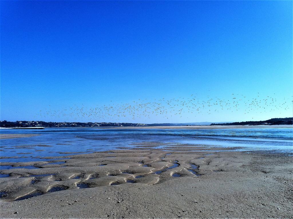 Agua Rocha Villa Serra de Mangues Kültér fotó