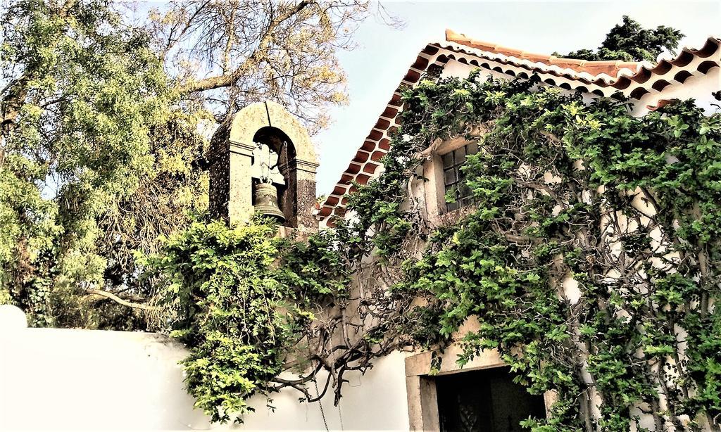 Agua Rocha Villa Serra de Mangues Kültér fotó